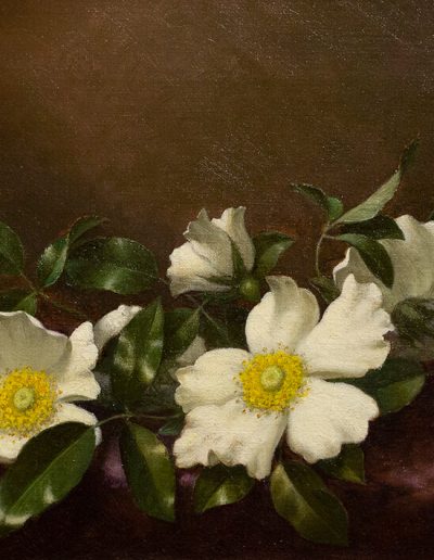 A branch of large, white flowers with yellow centers surrounded by small green leaves sitting on a dark purple cloth.