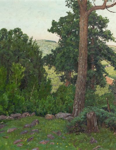 A green hill with a large tree growing at its top with a large bush beside it.